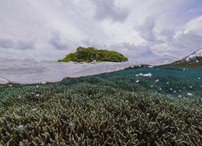 Barrier Reef of Belize
